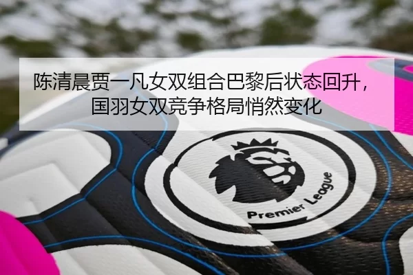chen-qing-chen-jia-yi-fan-nv-shuang-zu-he-ba-li-hou-zhuang-tai-hui-sheng-guo-yu-nv-shuang-jing-zheng-ge-ju-qiao-ran-3-961.jpg